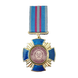 Medal &ldquo;For Special Achievements in Topost&rdquo; (Comrades&rsquo; Medals &mdash; from Comrades to Comrades) 26055 photo 1