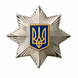 Зірка на жетон поліції 25007 фото 1