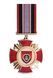 Commemorative Medal &ldquo;DNIPRO-1&rdquo; 26018 photo