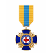 Medal &ldquo;For Impeccable Medical Service&rdquo; (Medical Forces of the Armed Forces of Ukraine) 26023 photo